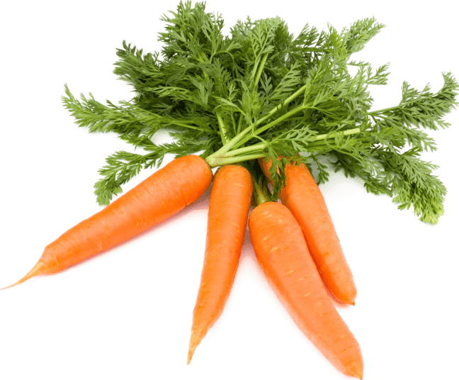 Carrot Juice Concentrate