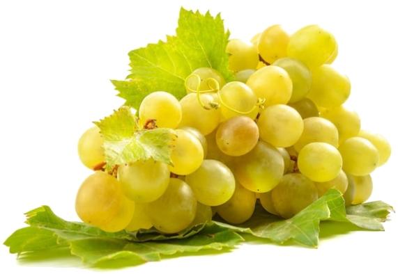 White Grape Juice Concentrate